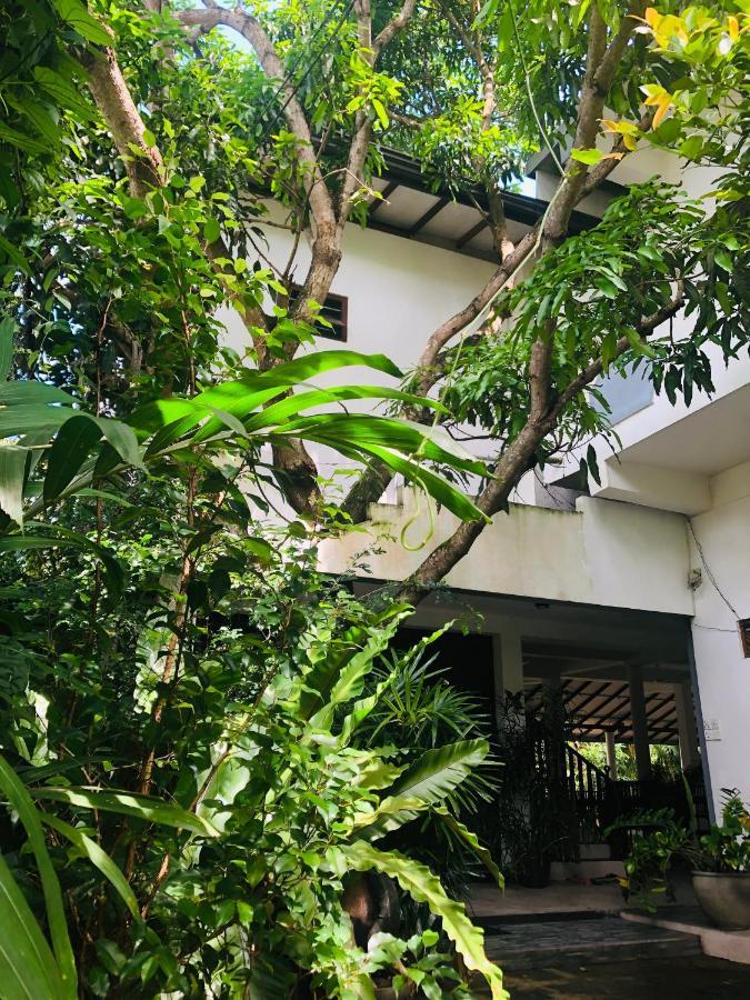 Tinara River Inn, Weligama Eksteriør bilde