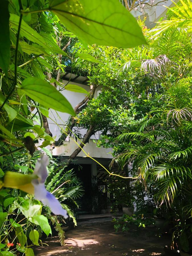 Tinara River Inn, Weligama Eksteriør bilde