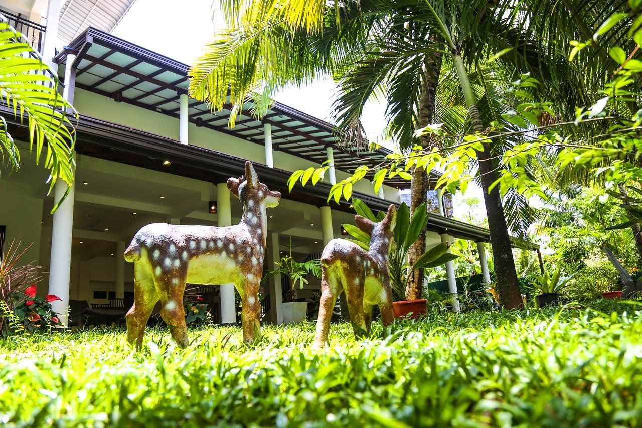 Tinara River Inn, Weligama Eksteriør bilde