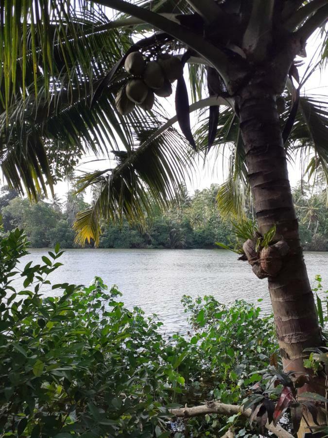 Tinara River Inn, Weligama Eksteriør bilde