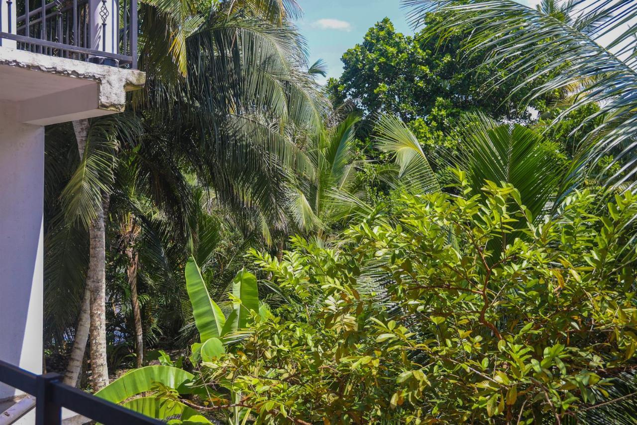 Tinara River Inn, Weligama Eksteriør bilde