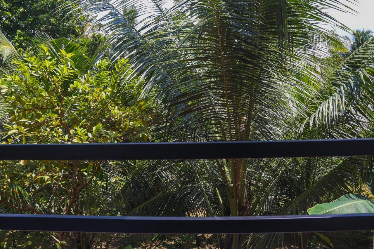 Tinara River Inn, Weligama Eksteriør bilde